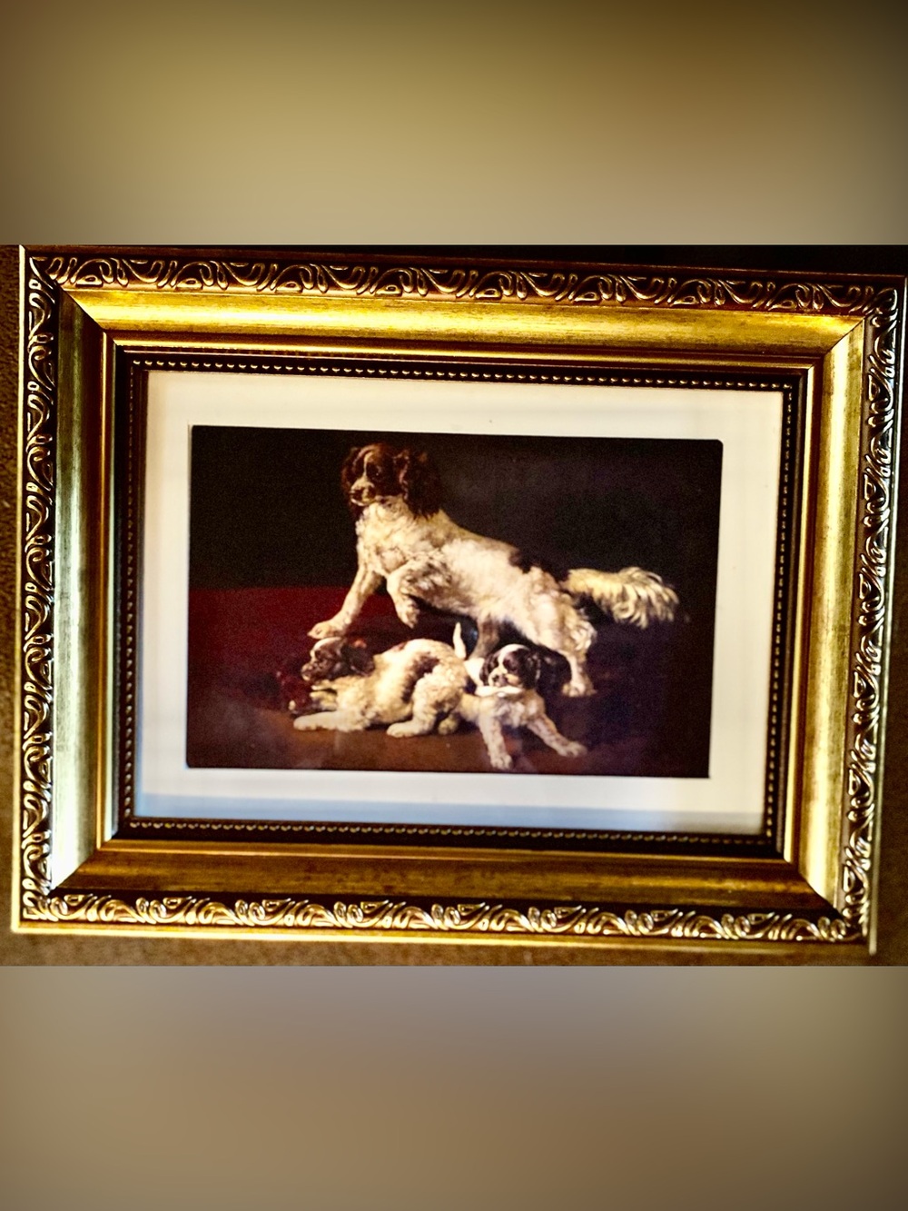Pair of Sporting Dog Reproduction Framed Prints 7 x 9 - Picture 3 of 5